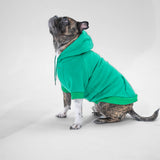 Essential Hoodie (Green)