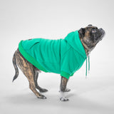 Essential Hoodie (Green)