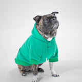 Essential Hoodie (Green)