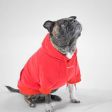 Essential Hoodie (Red)