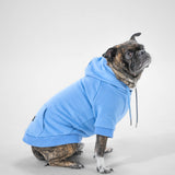 Essential Hoodie (Sky Blue)