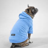 Essential Hoodie (Sky Blue)