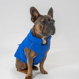 Dog Vest (Blue)