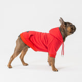 Essential Hoodie (Red)