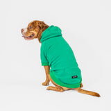 Essential Hoodie (Green)