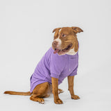 Essential Hoodie (Violet)