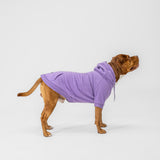 Essential Hoodie (Violet)