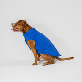 Dog Vest (Blue)