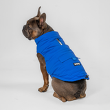 Dog Vest (Blue)