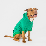 Essential Hoodie (Green)