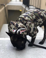 Barknpup Shark Monster Windbreaker (Camo)