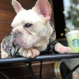 Camo Windbreaker Jacket