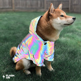 Reflective Windbreaker Jacket