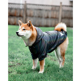 Reflective Windbreaker Jacket