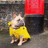 Classic Rain Coat (Yellow)