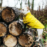 Classic Rain Coat (Yellow)