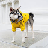 Classic Rain Coat (Yellow)