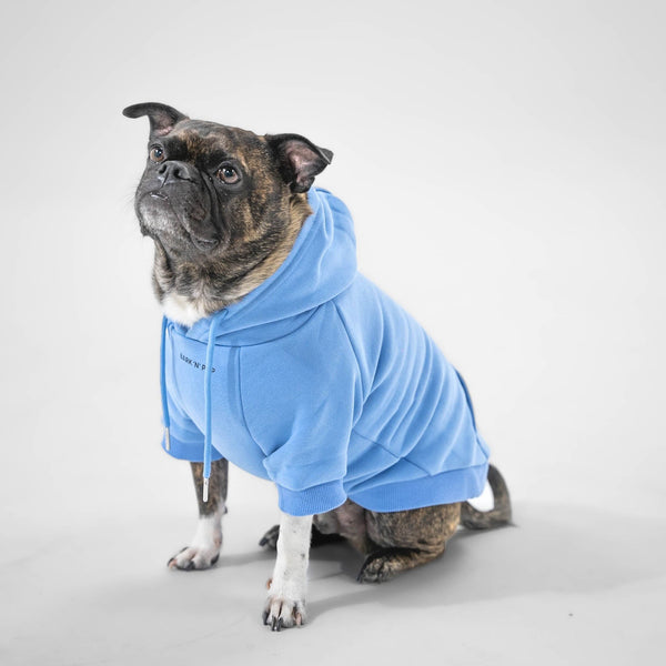 Essential Hoodie (Sky Blue)