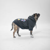 ASPC Hoodie