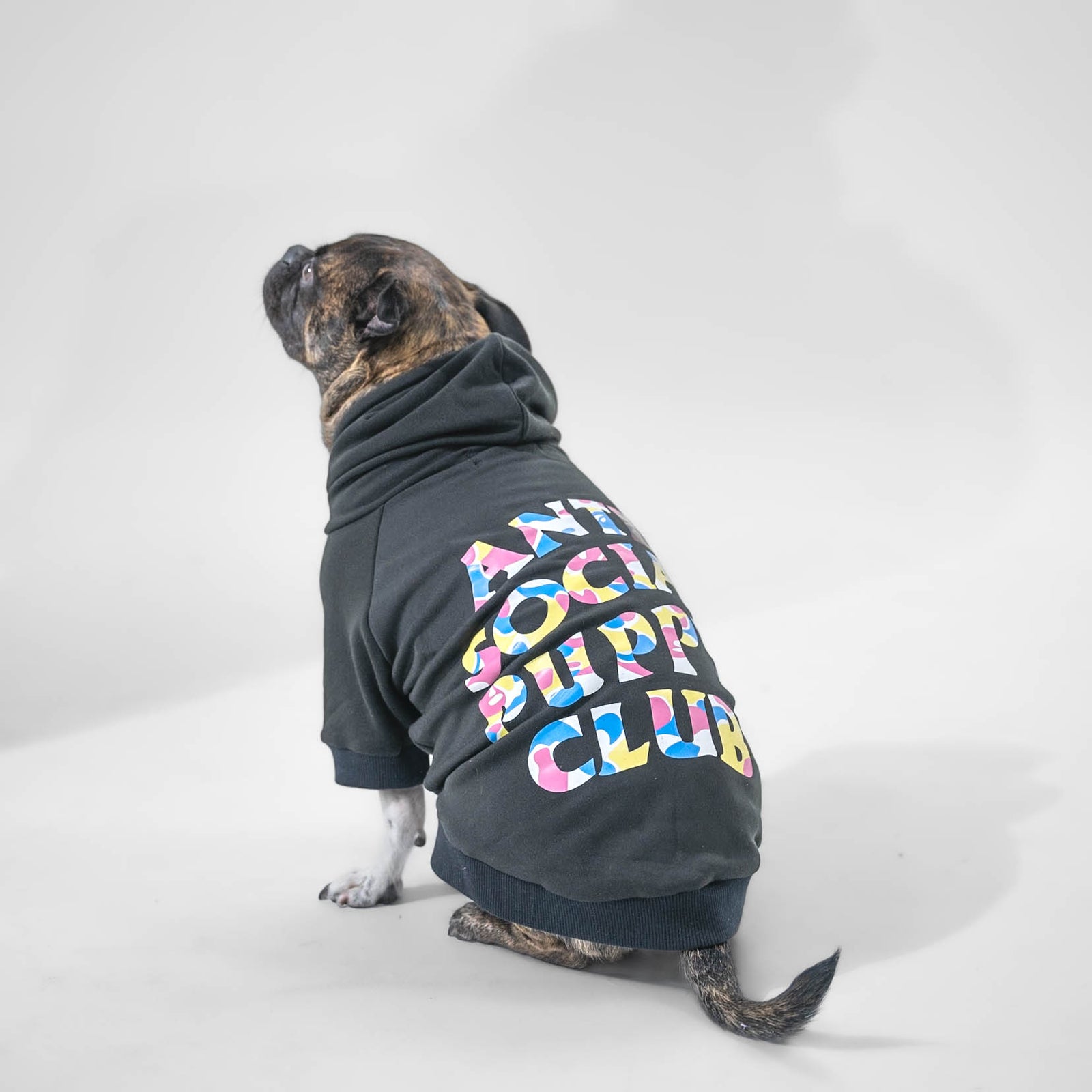 ASPC Hoodie – Barknpup