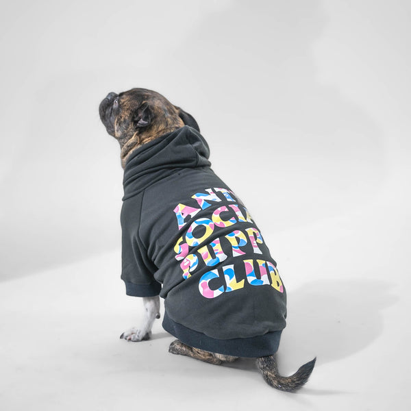 ASPC Hoodie
