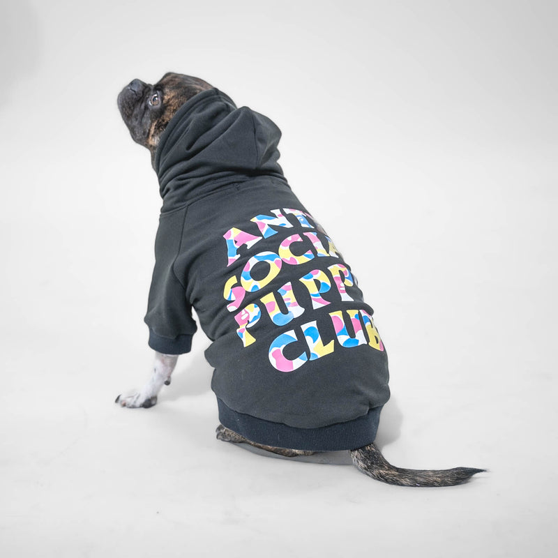 ASPC Hoodie