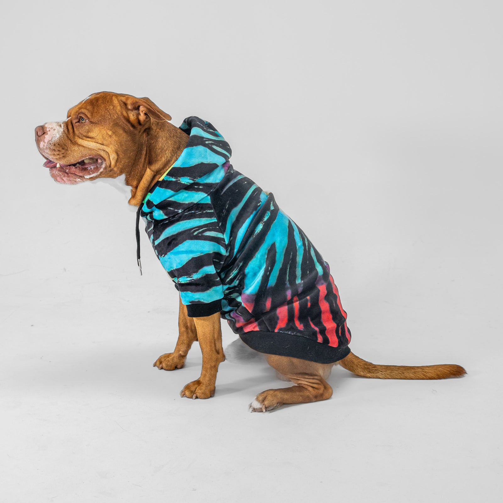 Black Tie Dye Hoodie – Barknpup