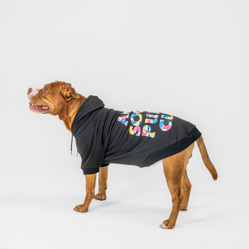 ASPC Hoodie