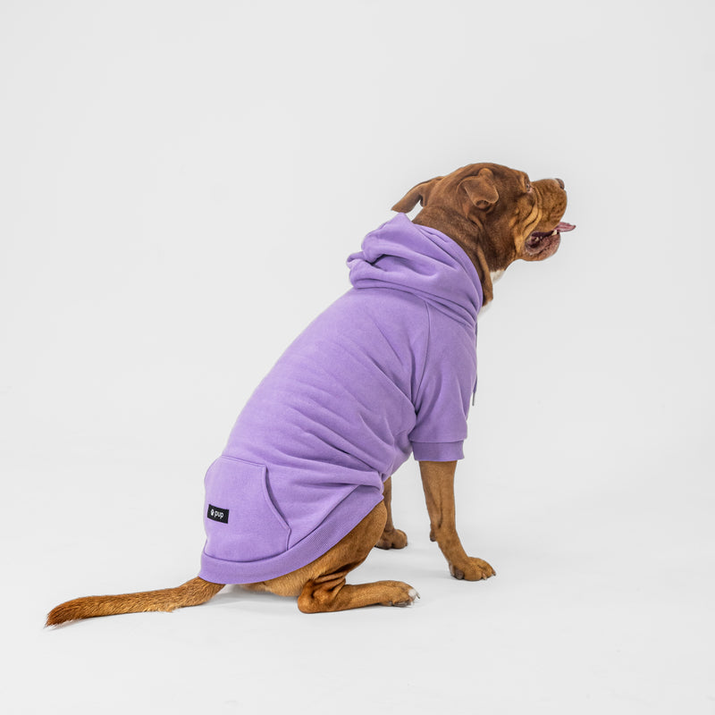 Essential Hoodie (Violet)