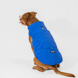 Dog Vest (Blue)