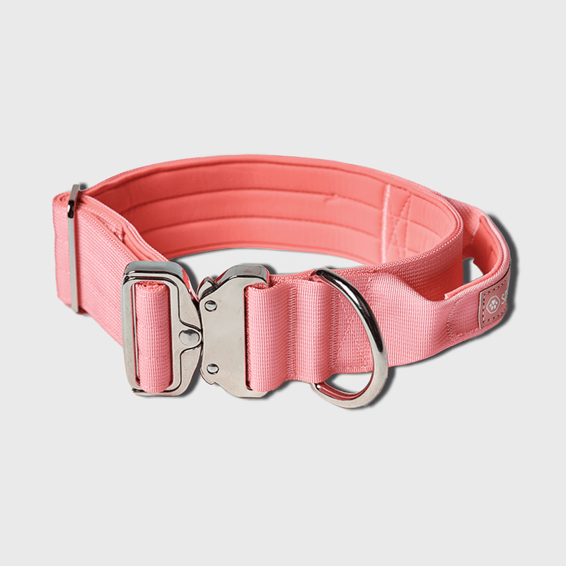 Tactical Collar With Handle Pink Barknpup