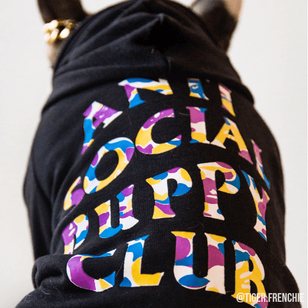 ASPC Hoodie