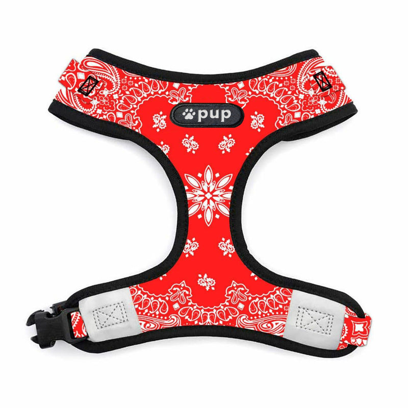 Red Paisley Harness & Leash Set