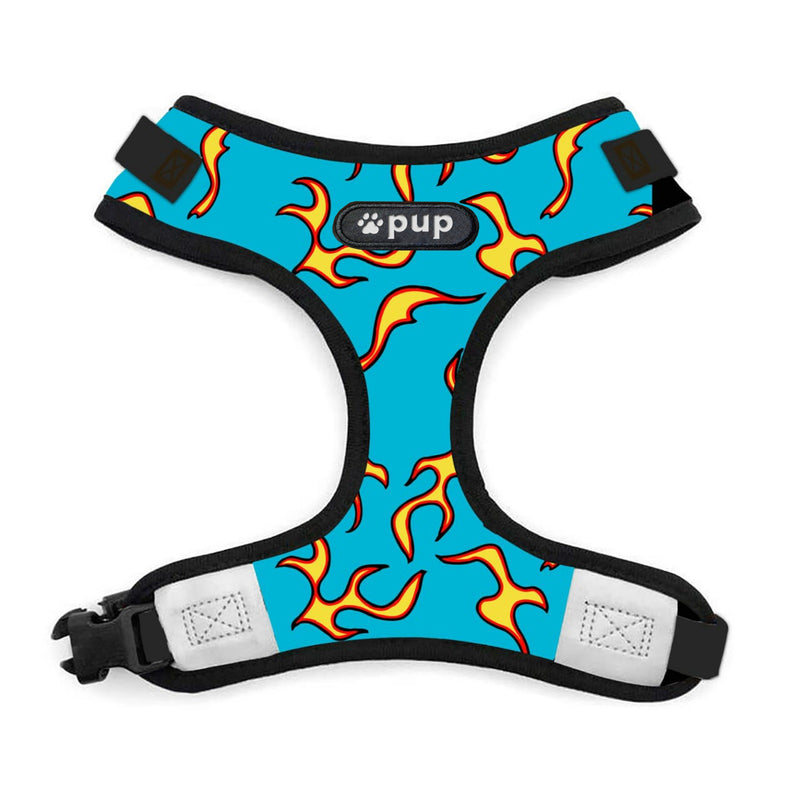 Hotwheels Harness & Leash Set