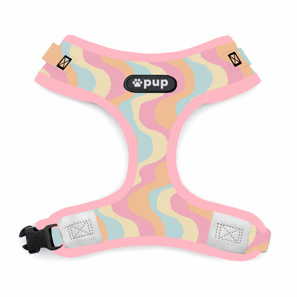 Pink Clay Harness + Leash Set