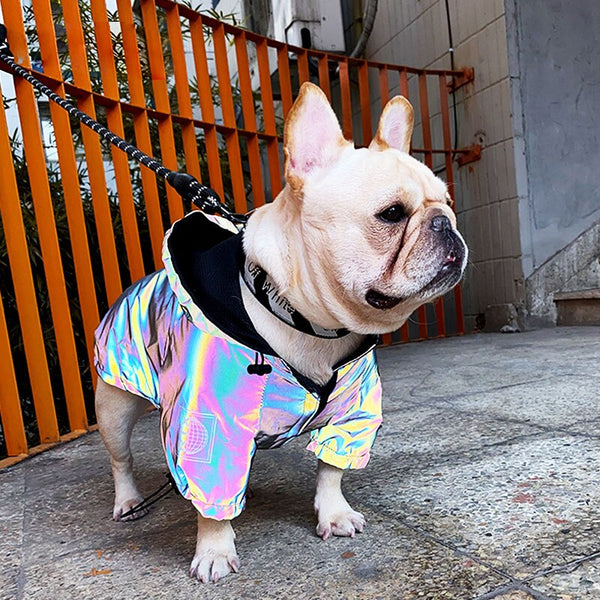 Reflective Windbreaker Jacket