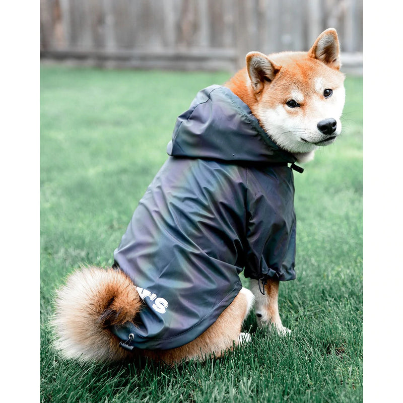 Reflective Windbreaker Jacket