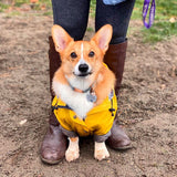 Classic Rain Coat (Yellow)