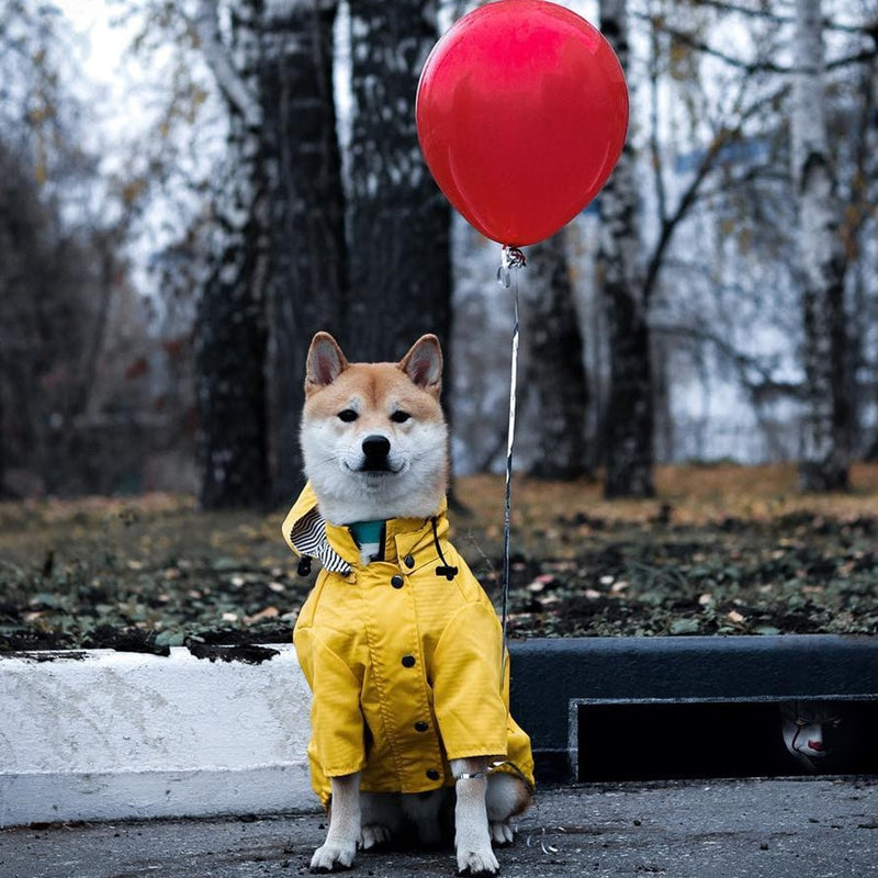Classic Rain Coat (Yellow)